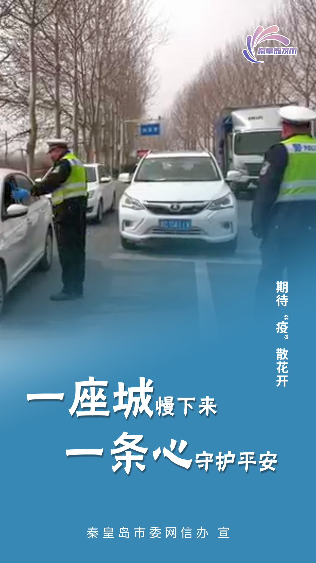 海报集丨因为有你，秦皇岛终会“疫”散花开