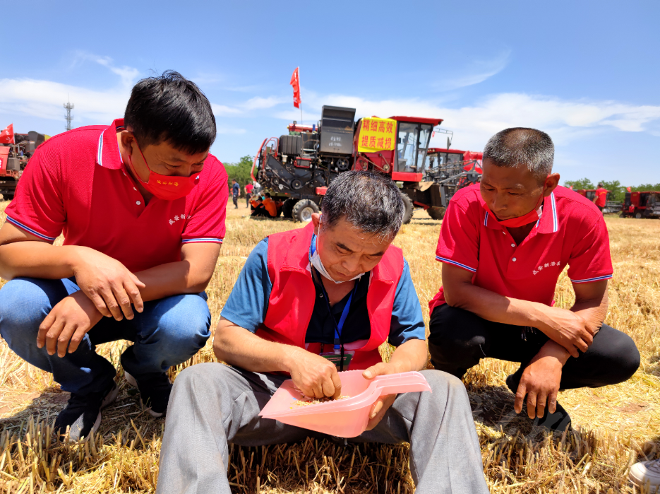 全省小麦机收在成安县启动
