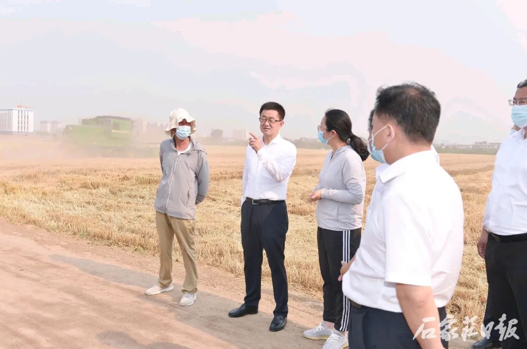 马宇骏赴鹿泉区督导检查经济“双过半”“三夏”生产工作