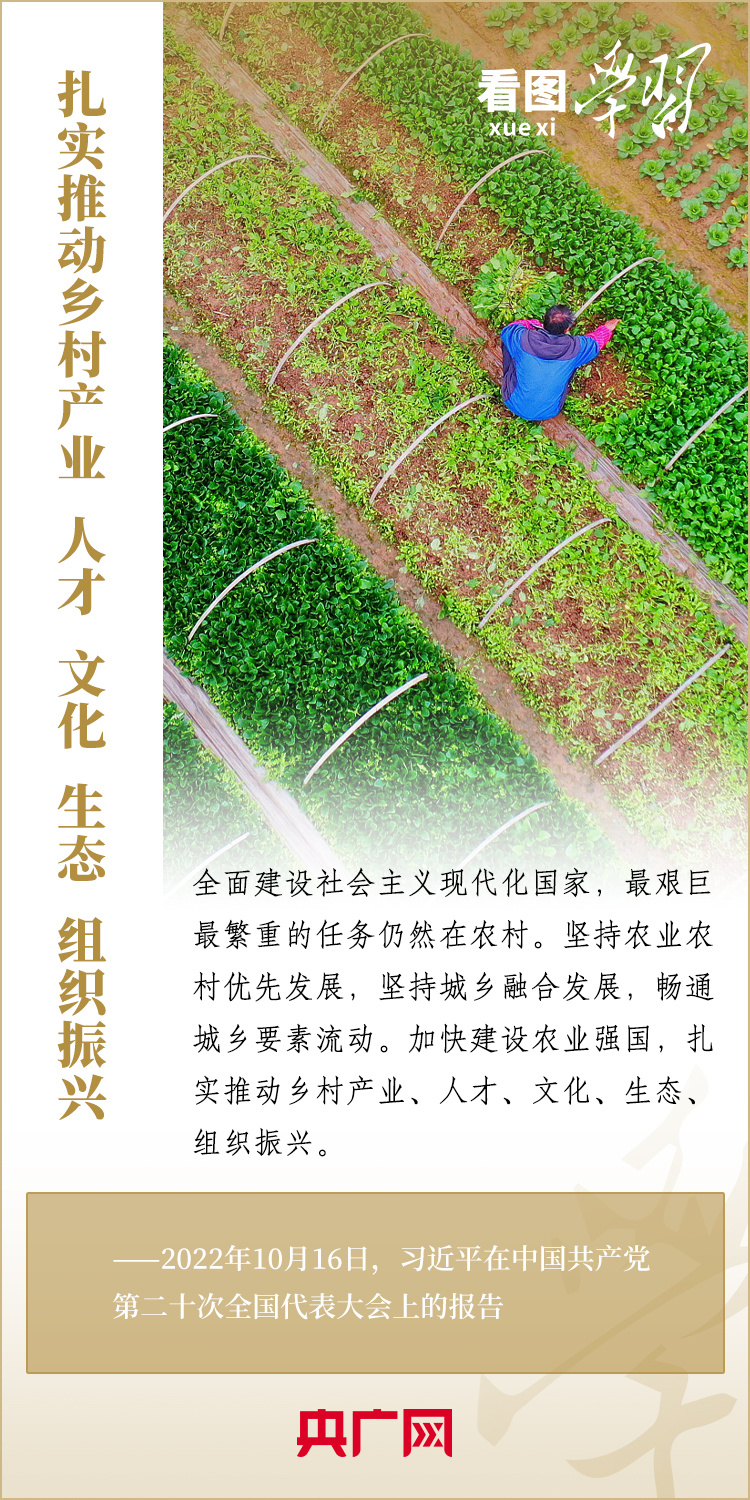 看图学习丨新时代建设农业强国的重要任务