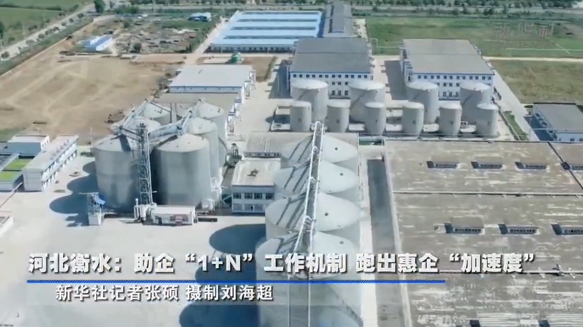 河北衡水探索“1+N”工作机制助企业发展