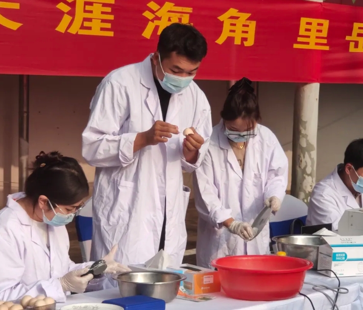 河北南里岳镇蛋鸡产业如何升级