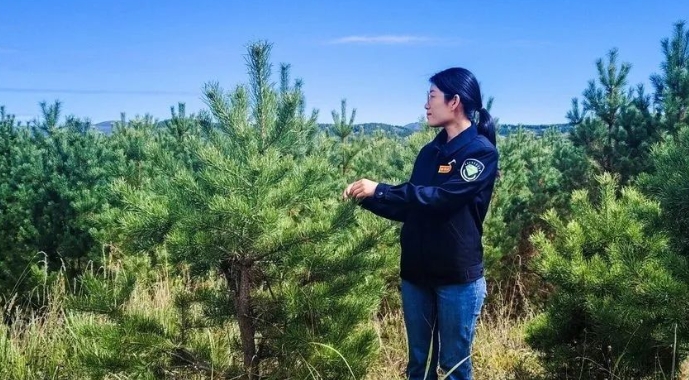 林场技术员王雪萌 | 塞罕坝石质山地全都造了林