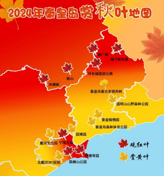 2024年秦皇岛赏秋叶地图来啦~~~ ​​​