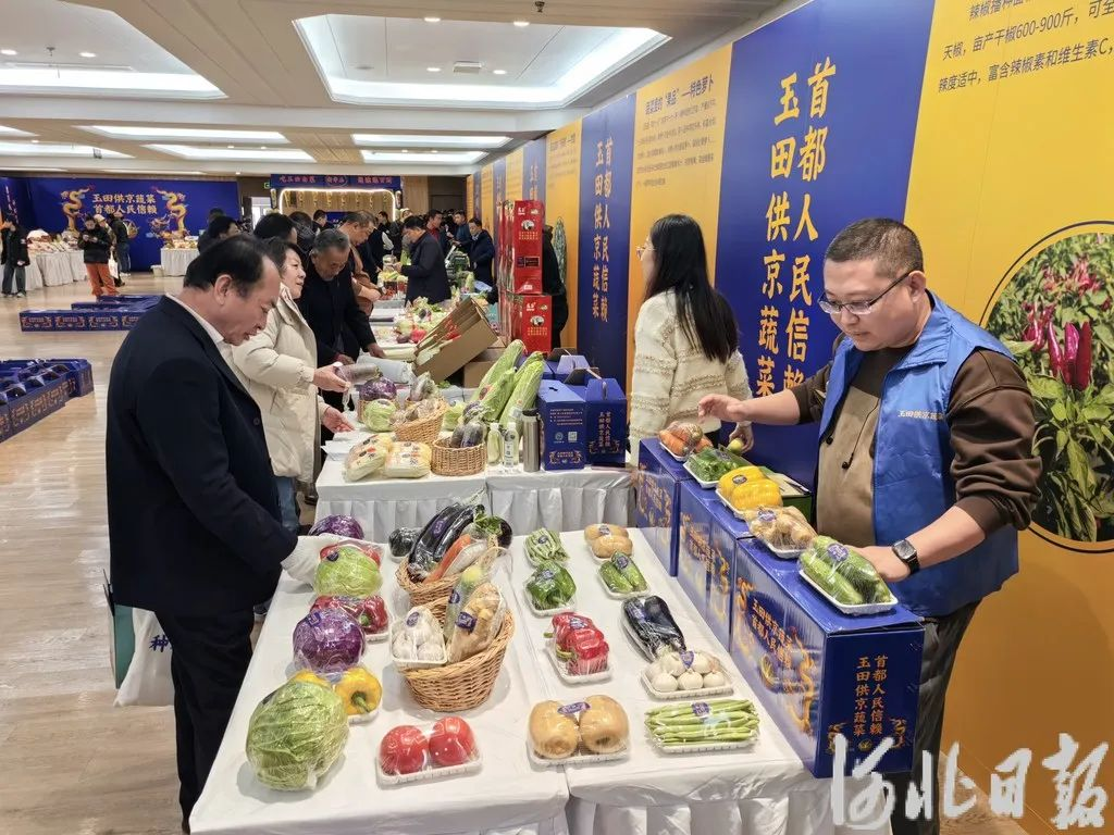 玉田蔬菜进京推介，现场签约额5500万元