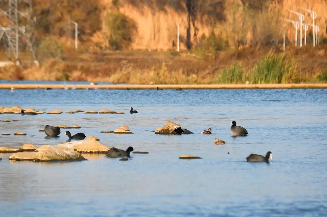 现在，武安这个地方太美啦！你一定要去