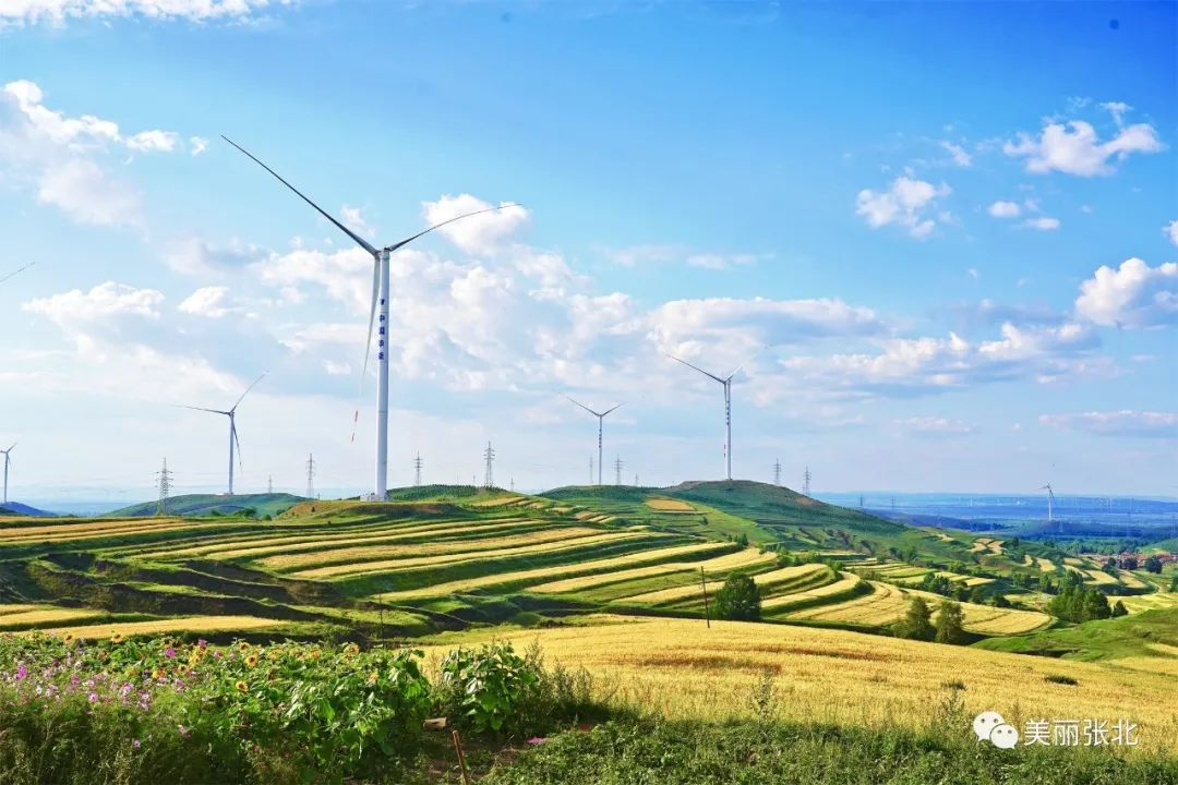 张北新能源装机规模位于全省县级首位