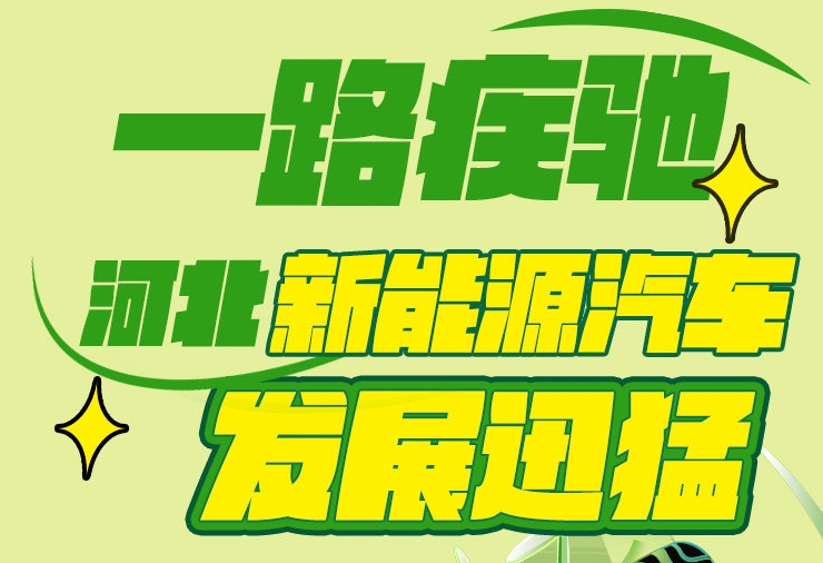 “一路疾驰”！河北新能源汽车发展迅猛