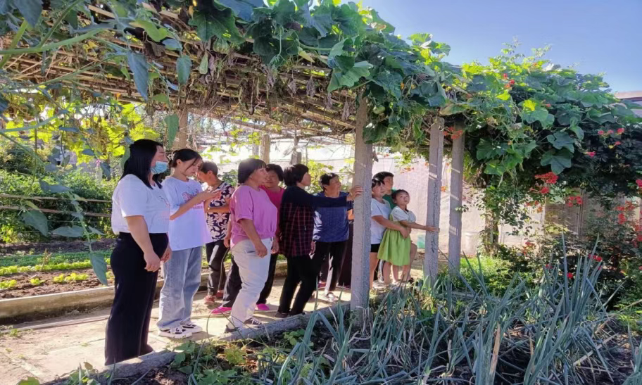 昌黎县以美丽庭院“小切口”助力和美乡村“大文章”