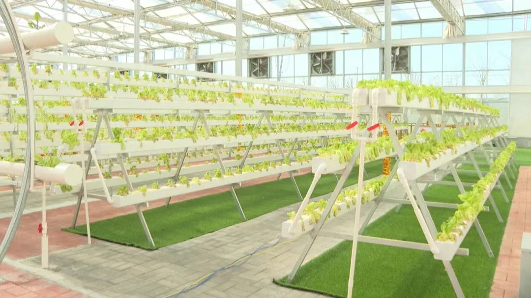 科技助力春管 推动农业高质量发展