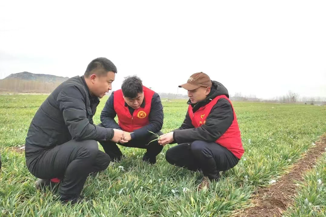 尽显科技范！无人机上岗助农忙，万亩麦田稳产有“底”