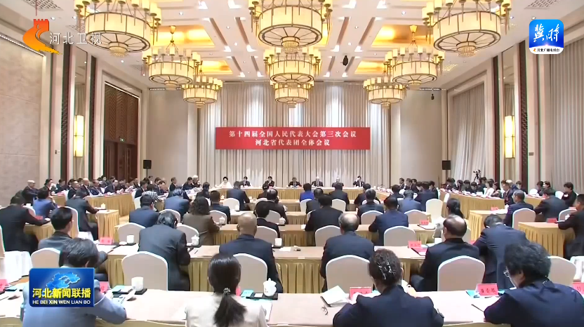 河北省代表团召开全体会议 审议全国人大常委会工作报告和“两高”工作报告