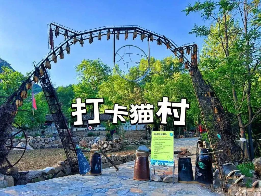 这里的村庄喵喵喵～ 走！去有猫的地儿