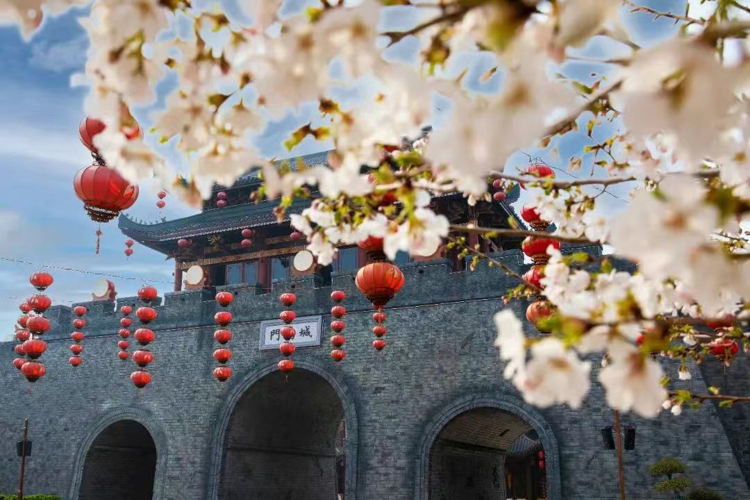 藏不住了！邯郸最新春游赏花打卡点！