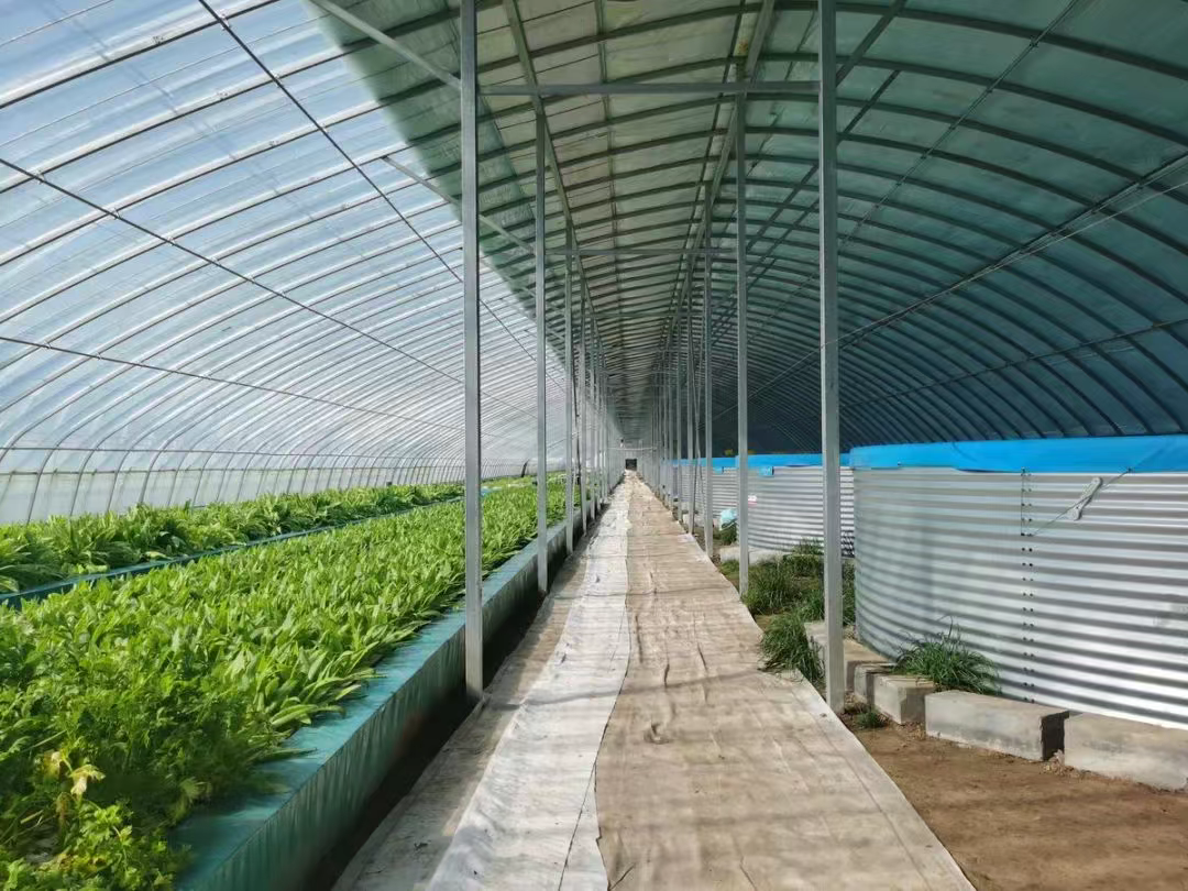 张家口这家企业创新生态农业模式，成为农民增产增收新引擎