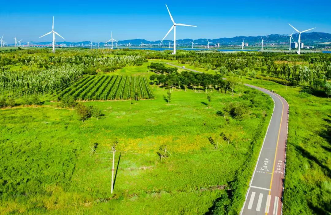 这里的“四好农村路”助力县域经济走上“快车道”