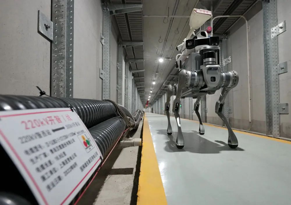 雄安新区：绿电“基因”点亮“未来之城”理想之光