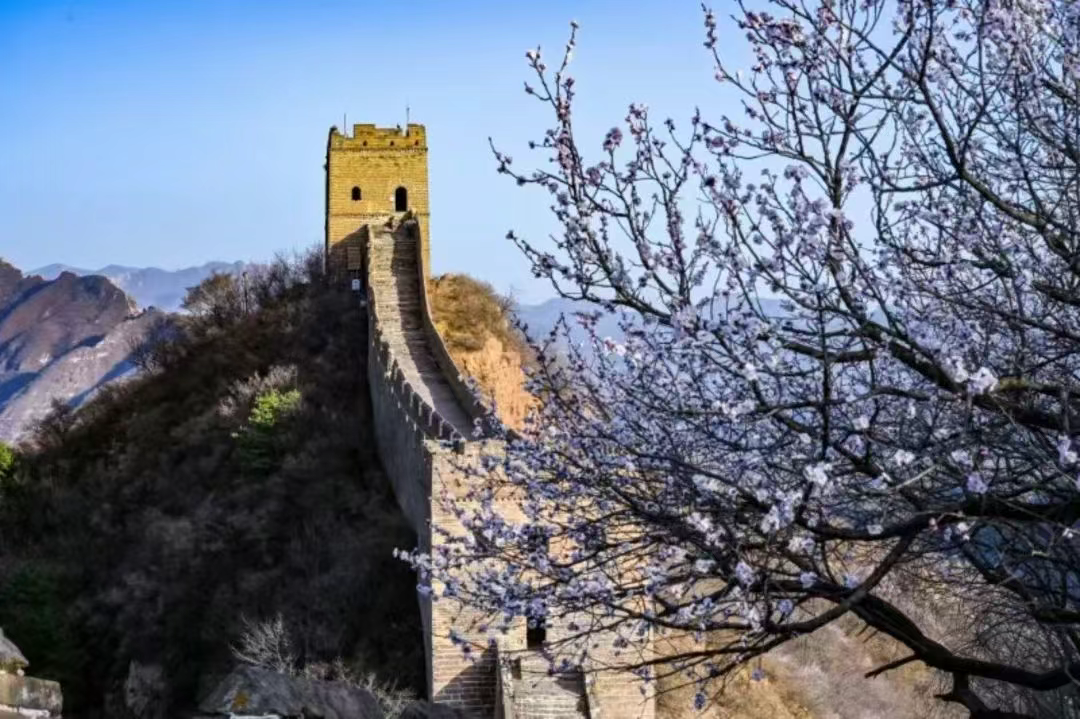 河北省推出70条“春观花”休闲农业线路（三）