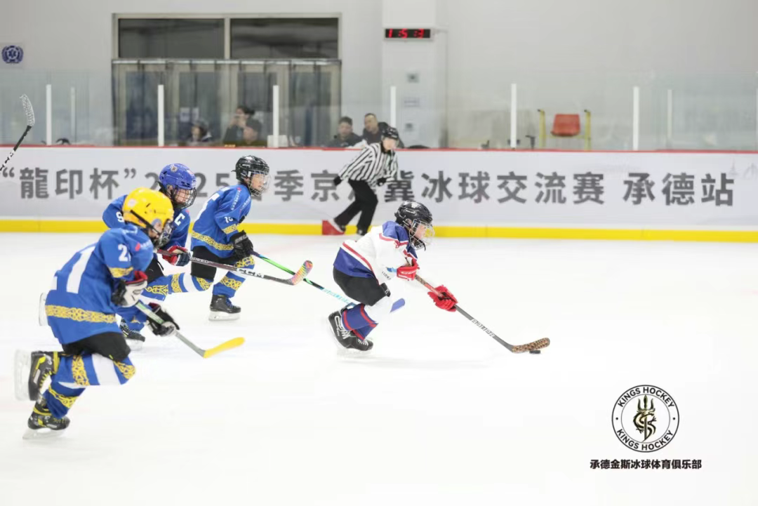 “龙印杯”2025春季京津冀冰球交流赛承德站收官
