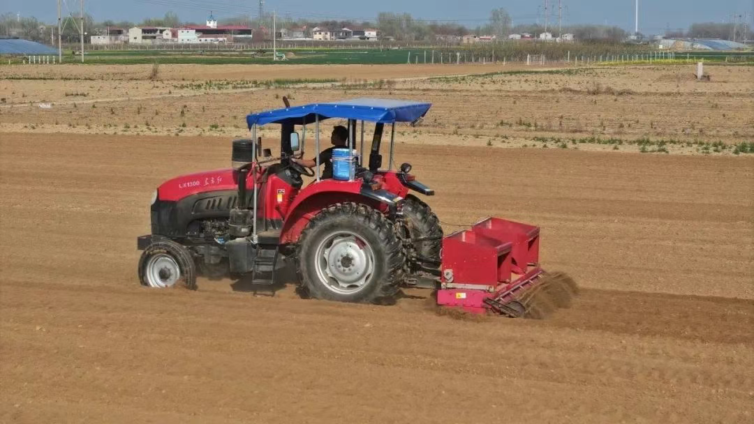曲周的“金土地”！