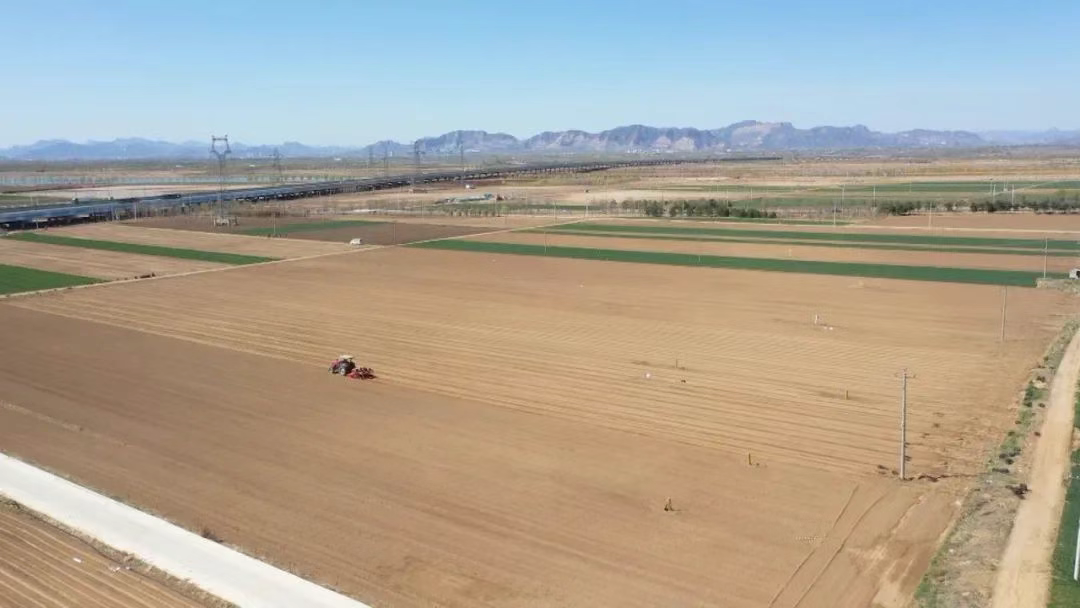曲阳桥镇：发展特色中药材种植 打造乡村致富金“药”匙