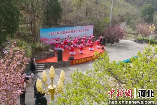 河北内丘：万亩苹果花迎春绽放