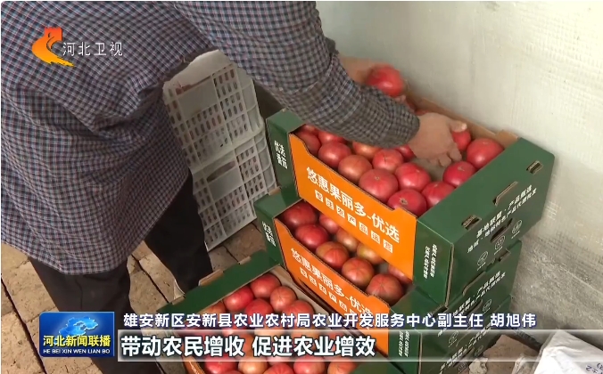 雄安新区安新县：“智慧”成果装满米袋子菜篮子