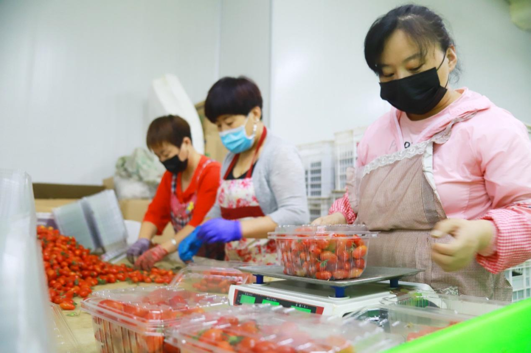 永清县：园区引领三大特色产业带发展