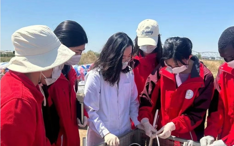 她们，在曲周试验变“粪”成“宝”