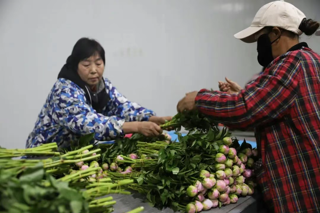 花漾指尖，技艺绽放！峰峰藏着致富“花招”