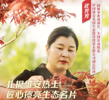 武芳芳：我在雄安播撒绿色