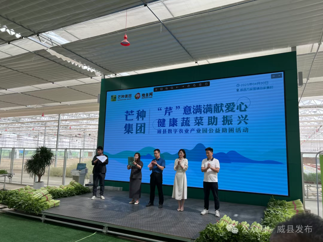 威县：“芹” 意满满献爱心，健康蔬菜助振兴