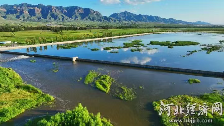 京津冀协同治理 永定河生态廊道重焕生机