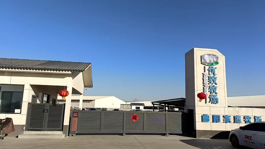 曲阳县嘉禾镇：振兴“奶产业” 过上“牛日子”