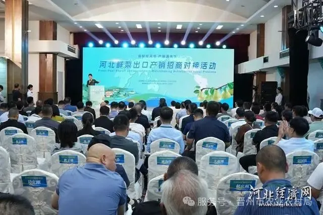 咱的梨“香”世界——河北鲜梨出口产销对接活动侧记