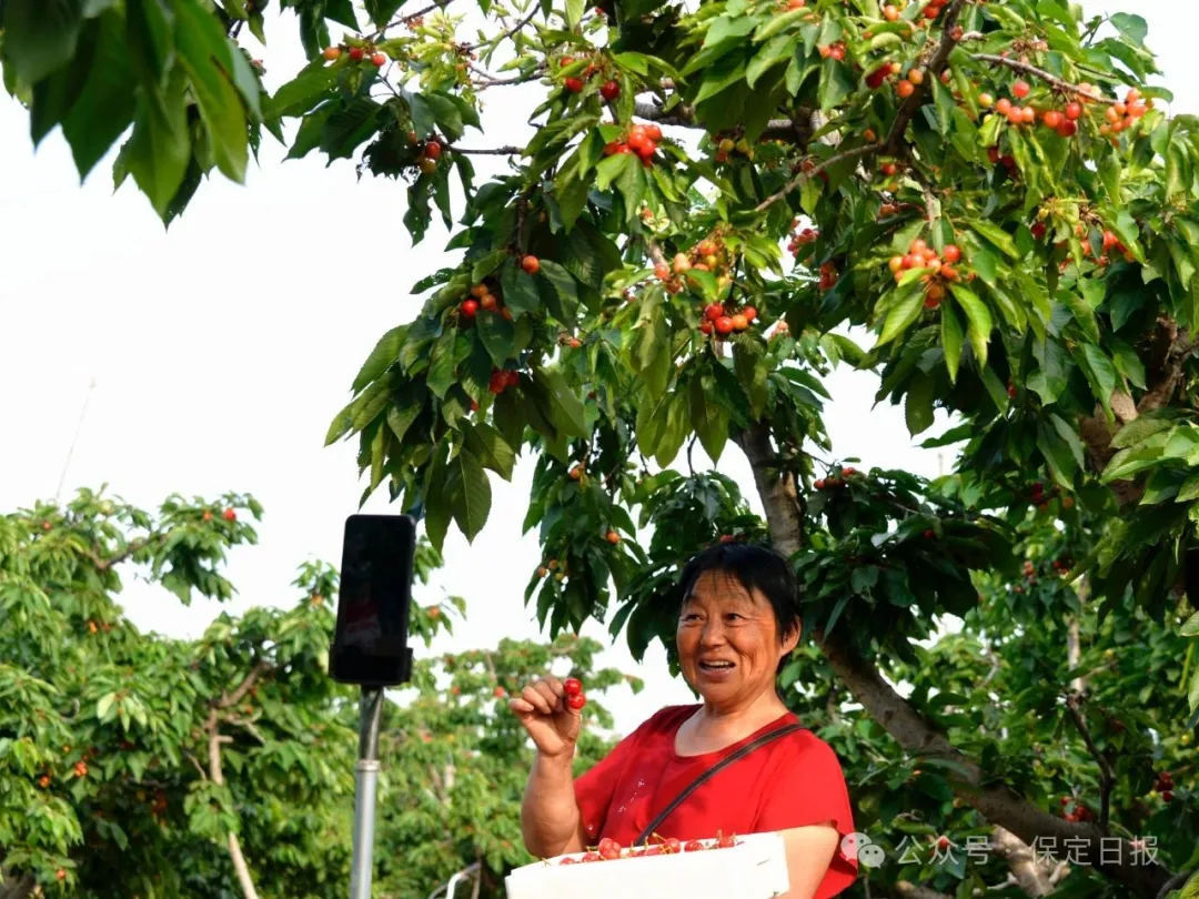 “党建+”赋能村美民富产业旺——全国文明村镇望都县姜庄村走访