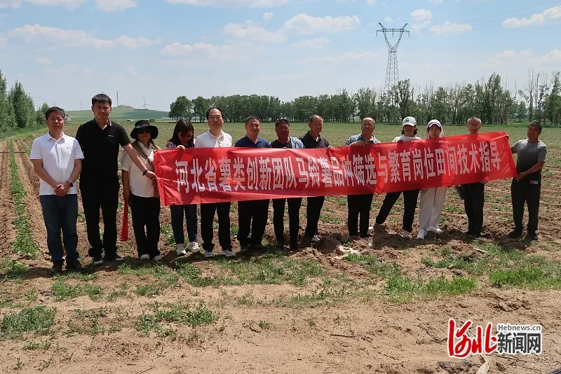 河北省薯类创新团队：深入康保县开展科技培训，助推马铃薯产业高质量发展