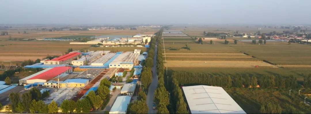 【乡村振兴进行时】石家庄市藁城区首个以工代赈项目“花落”西关镇！