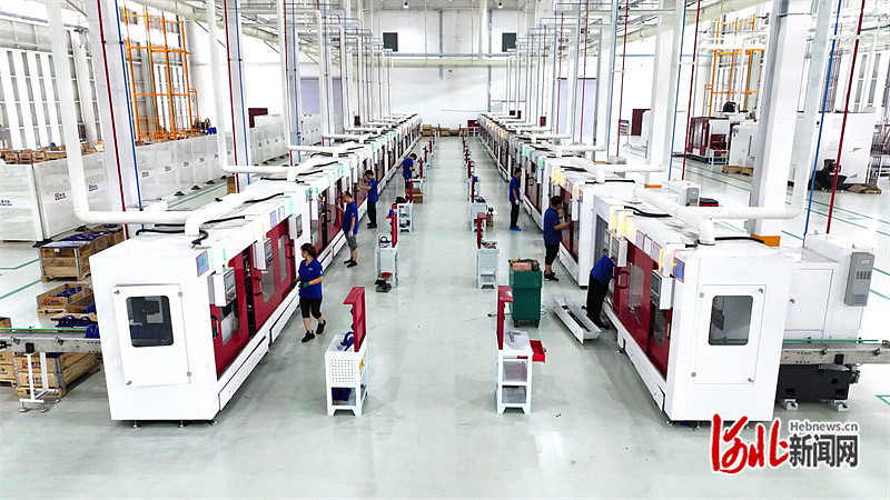 坚定信心 勇挑大梁·产业新亮点｜临西轴承破局“低小散”产业向高攀