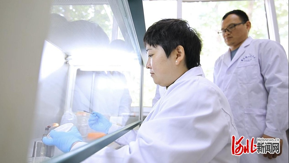 博士后的“研”值担当丨“微生物奇兵”让盐碱地变身大粮仓