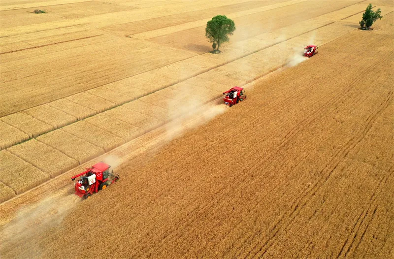【高质高效】保定市：振兴结硕果 乡村谱新篇