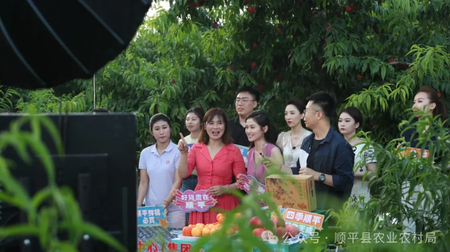 河北顺平：“甜蜜”直播助农增收