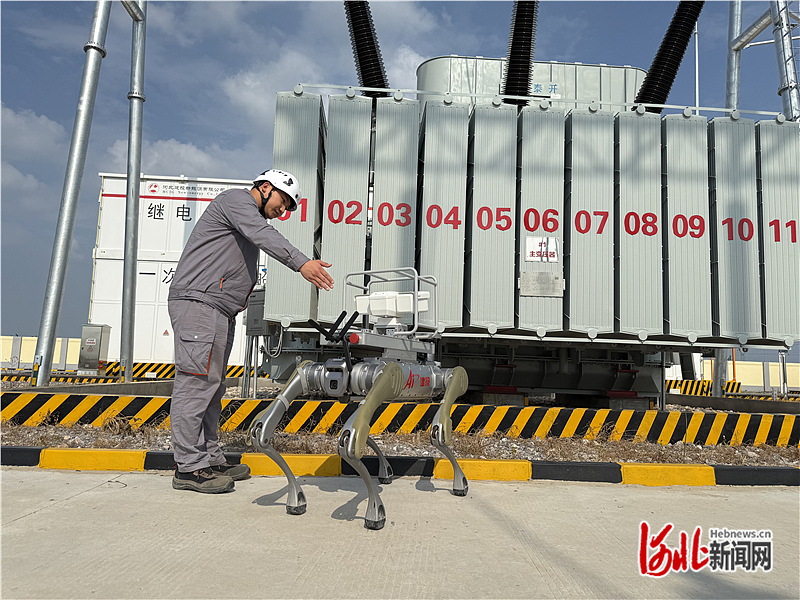 记者走基层｜智能机器狗给风电场当“哨兵”