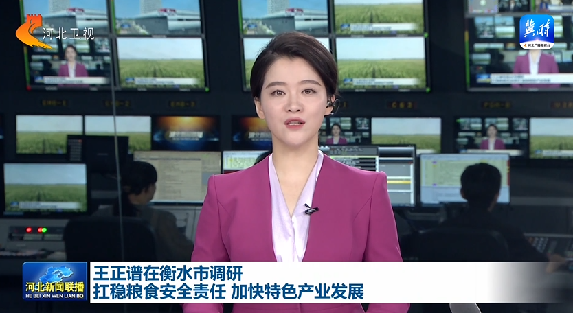 王正谱在衡水市调研