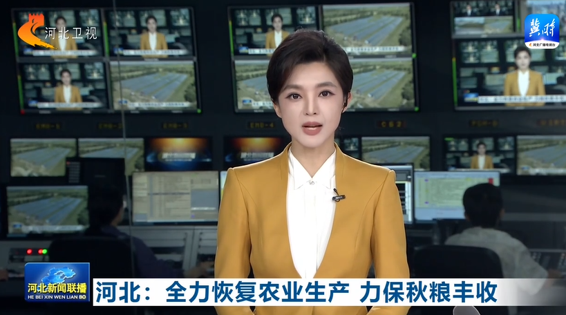 河北：全力恢复农业生产 力保秋粮丰收