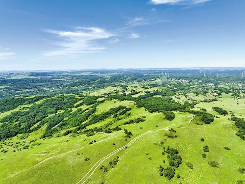 股份制造林，激发山场活力