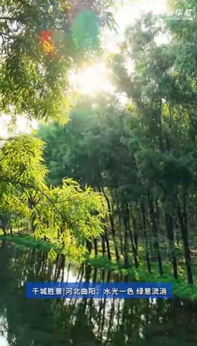 河北曲阳：水光一色 绿意流淌