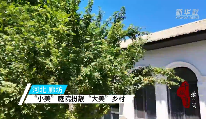河北廊坊：“小美”庭院扮靓“大美”乡村