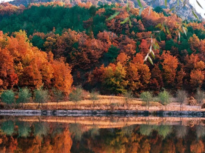 河北兴隆：生态画卷铺展 文旅热潮涌动