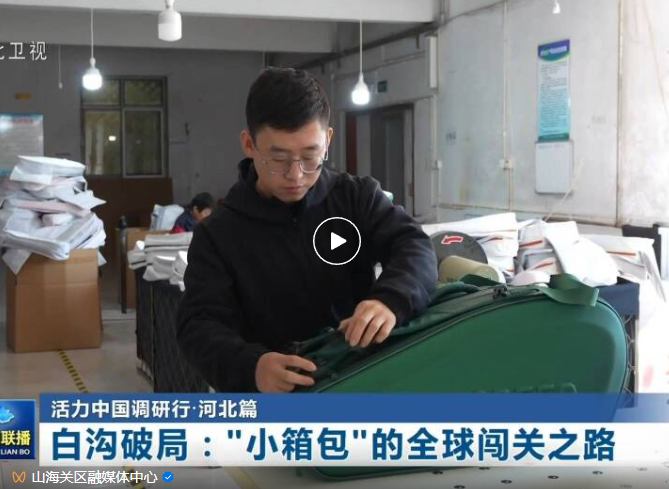白沟破局：“小箱包”的全球闯关之路